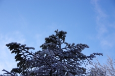 141102agd031.jpg