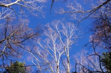 141102agd039.jpg