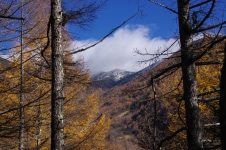 141102agd041.jpg