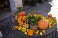 141102agd046.jpg