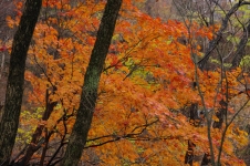 141123hks003.jpg