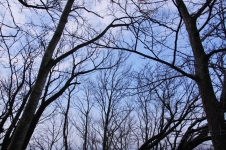 141123hks004.jpg