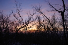 141123hks026.jpg