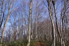 141123hks040.jpg