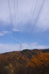 141123hks049.jpg