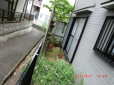 ウリンbefore