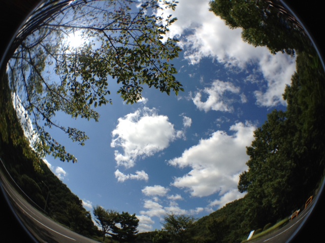 フィッシュアイ空