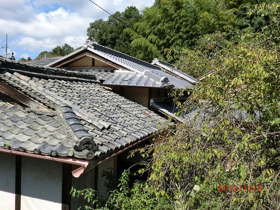 画像 038