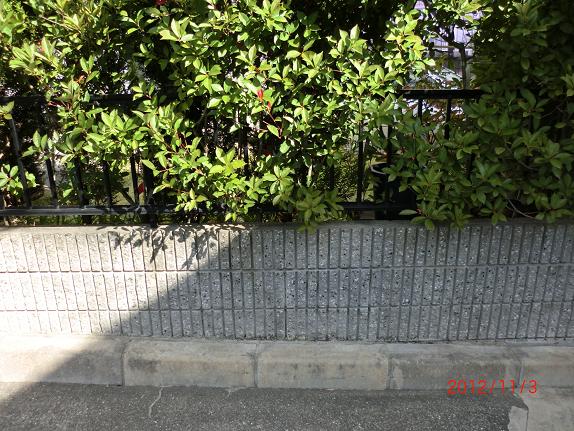 画像 019