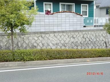3_20120928202314.jpg