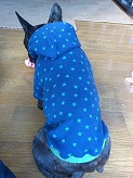 254.jpg