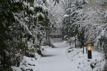 DSC_0308-2_20130114122945.jpg