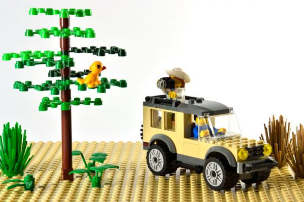 safari.jpg