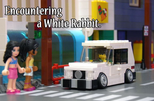 whiterabbit_1.jpg