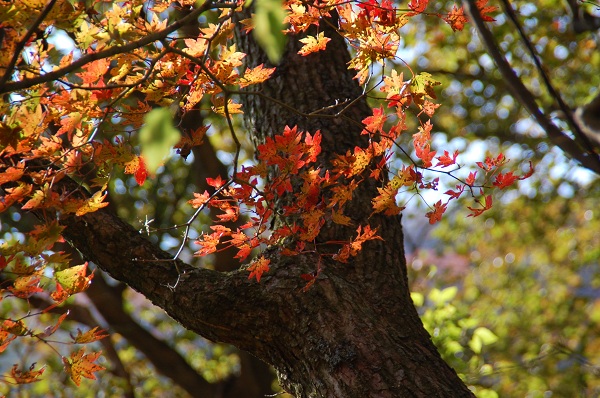 zDSC_1279.jpg