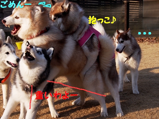 おもい