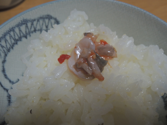 新米IMG0005