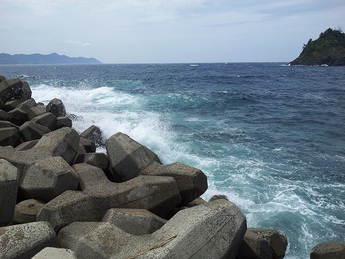 20120813_130449.jpg