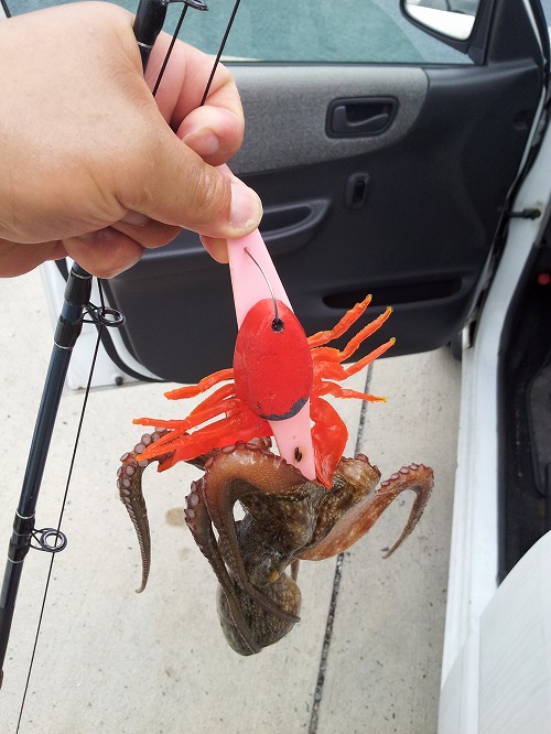 20120813_142601.jpg