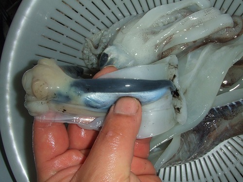 DSCF2592.jpg