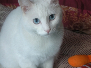 DSCN0503.jpg