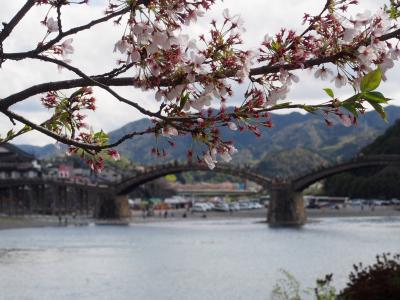 錦帯橋1