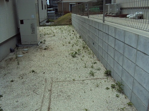 DSC04186.jpg