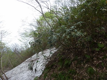 鏡野町