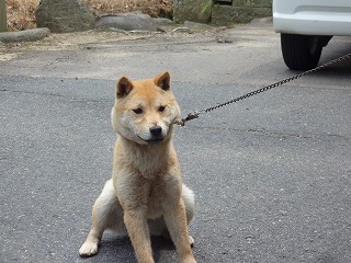 勉強会
