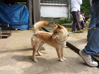勉強会