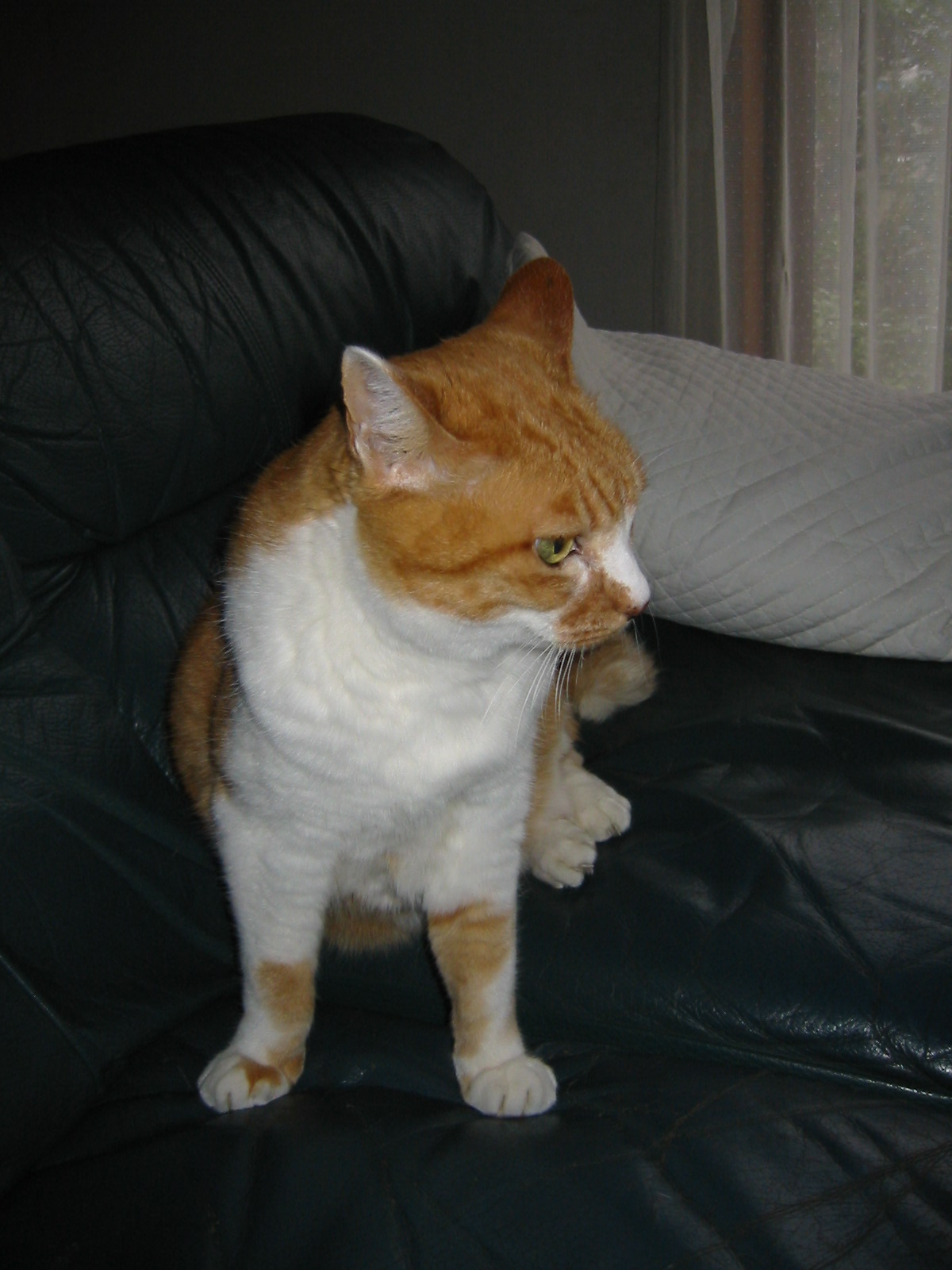 114-1448_IMG.jpg
