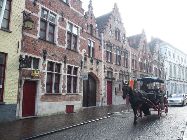 DSC_1437.jpg
