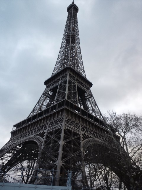 DSC_1507.jpg