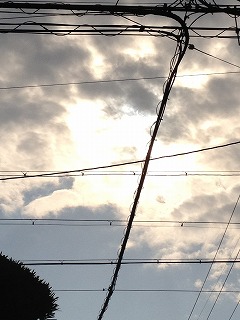 IMG_1189.jpg