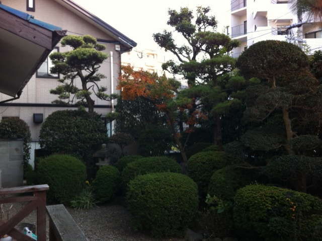 福岡 造園 植木屋