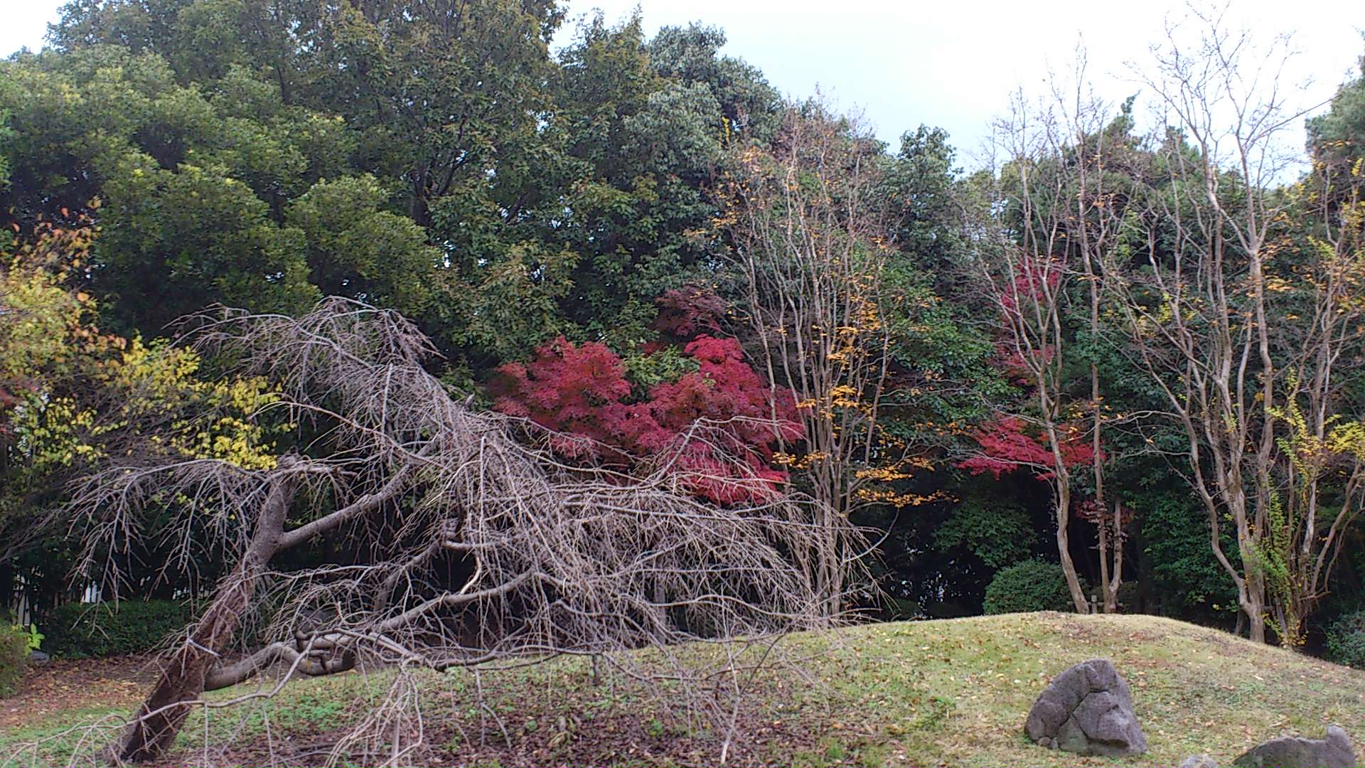 福岡市中央区 桜坂