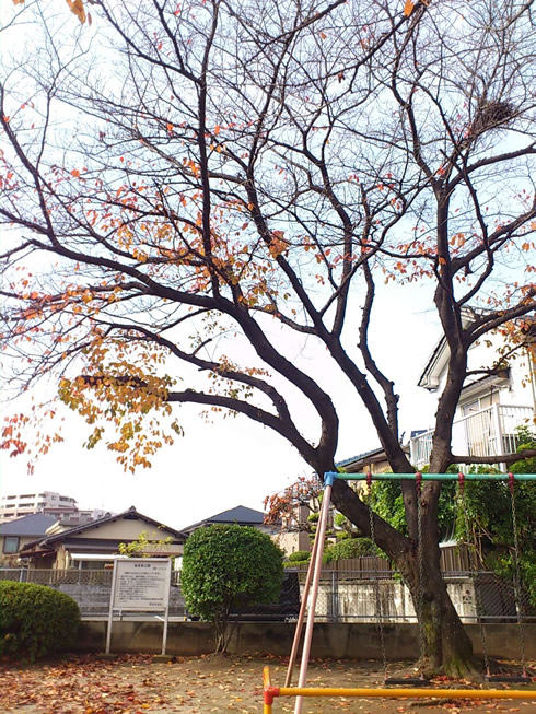 福岡 植木屋営業マン景色