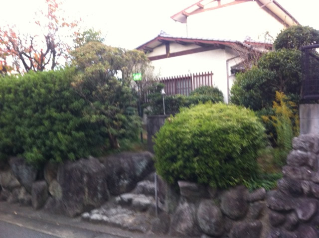 福岡 庭木剪定 植木屋