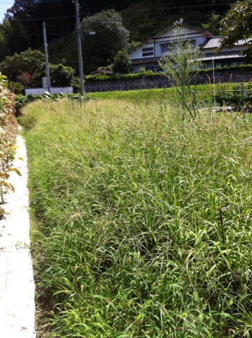 福岡 植木職人
