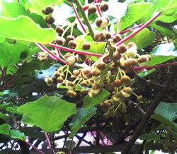 fc2_b20120601-02.jpg