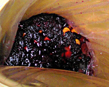 fc2_b20120706.jpg