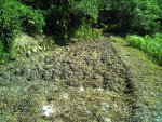 fc2_b20120722-1.jpg