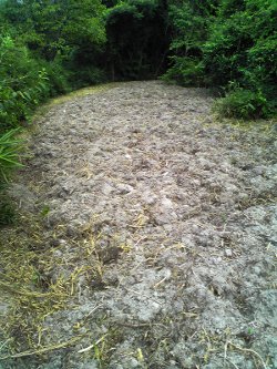 fc2_b20120807-1.jpg