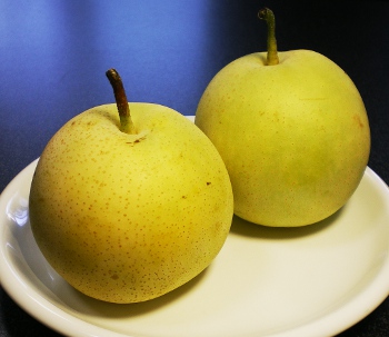 fc2_b20120916-1.jpg