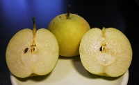 fc2_b20120916-2.jpg