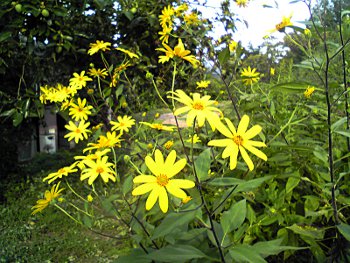 fc2_b20120921-2.jpg