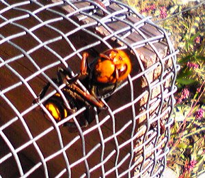 fc2_b20121021-1.jpg