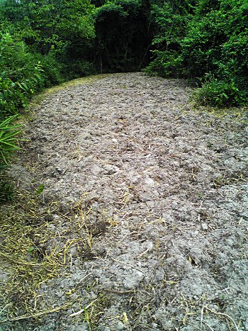 fc2_b20121022-0706.jpg