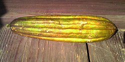 fc2_b20121027-1.jpg