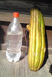 fc2_b20121027-2.jpg